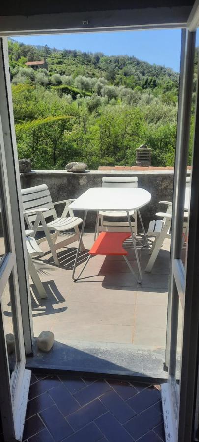Vecchio Mulino Fontona Girasole Apartment Chiesanuova  Exterior photo